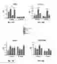 Fig. 47 - SCAFFOLDS CONTAINING CYTOKINES FOR TISSUE ENGINEERING