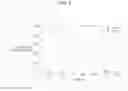 Fig. 03 - Factor VIII-Fc Chimeric and Hybrid Polypeptides, and Methods of Use Thereof