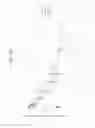 Fig. 19 - Factor VIII-Fc Chimeric and Hybrid Polypeptides, and Methods of Use Thereof