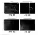 Fig. 09 - MODULATION OF AXON DEGENERATION