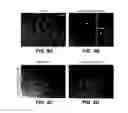 Fig. 10 - MODULATION OF AXON DEGENERATION