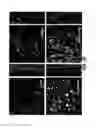 Fig. 25 - MODULATION OF AXON DEGENERATION
