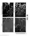 Fig. 35 - MODULATION OF AXON DEGENERATION