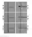 Fig. 02 - ALGINATE AND ALGINATE LYASE COMPOSITIONS AND METHODS OF USE