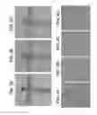 Fig. 03 - ALGINATE AND ALGINATE LYASE COMPOSITIONS AND METHODS OF USE
