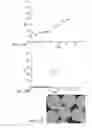 Fig. 11 - ALGINATE AND ALGINATE LYASE COMPOSITIONS AND METHODS OF USE