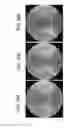 Fig. 20 - ALGINATE AND ALGINATE LYASE COMPOSITIONS AND METHODS OF USE