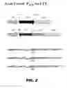 Fig. 03 - Regulated expression of antigen and/or regulated attenuation to enhance vaccine immunogenicity and/or safety