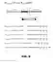 Fig. 11 - Regulated expression of antigen and/or regulated attenuation to enhance vaccine immunogenicity and/or safety