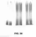 Fig. 32 - Regulated expression of antigen and/or regulated attenuation to enhance vaccine immunogenicity and/or safety