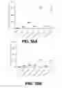 Fig. 38 - Regulated expression of antigen and/or regulated attenuation to enhance vaccine immunogenicity and/or safety