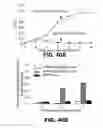 Fig. 44 - Regulated expression of antigen and/or regulated attenuation to enhance vaccine immunogenicity and/or safety