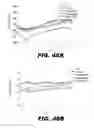 Fig. 56 - Regulated expression of antigen and/or regulated attenuation to enhance vaccine immunogenicity and/or safety
