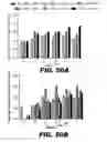 Fig. 60 - Regulated expression of antigen and/or regulated attenuation to enhance vaccine immunogenicity and/or safety
