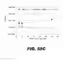 Fig. 70 - Regulated expression of antigen and/or regulated attenuation to enhance vaccine immunogenicity and/or safety