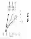 Fig. 74 - Regulated expression of antigen and/or regulated attenuation to enhance vaccine immunogenicity and/or safety
