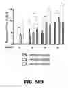 Fig. 78 - Regulated expression of antigen and/or regulated attenuation to enhance vaccine immunogenicity and/or safety