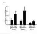 Fig. 10 - ONCOLOGY VACCINE