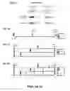 Fig. 02 - Variable epitope library compositions and methods of therapeutic and prophylactic use