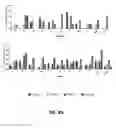 Fig. 05 - Variable epitope library compositions and methods of therapeutic and prophylactic use