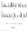 Fig. 07 - Variable epitope library compositions and methods of therapeutic and prophylactic use