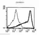 Fig. 10 - Mesothelin Vaccines and Model Systems