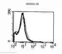 Fig. 11 - Mesothelin Vaccines and Model Systems