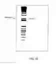 Fig. 29 - Mesothelin Vaccines and Model Systems