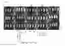Fig. 23 - Live-attenuated vaccine against plague