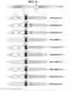 Fig. 03 - Developments in meningococcal outer membrane vesicles