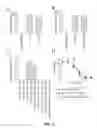 Fig. 04 - COMPOSITIONS AND METHODS FOR DIRECTED IMMUNOGEN EVOLUTION AND USES THEREOF