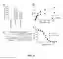 Fig. 05 - COMPOSITIONS AND METHODS FOR DIRECTED IMMUNOGEN EVOLUTION AND USES THEREOF