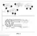 Fig. 09 - COMPOSITIONS AND METHODS FOR DIRECTED IMMUNOGEN EVOLUTION AND USES THEREOF