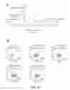 Fig. 11 - COMPOSITIONS AND METHODS FOR DIRECTED IMMUNOGEN EVOLUTION AND USES THEREOF