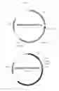 Fig. 05 - Recombinant CDV compositions and uses thereof