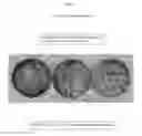 Fig. 08 - Recombinant CDV compositions and uses thereof