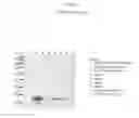 Fig. 09 - Recombinant CDV compositions and uses thereof