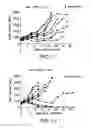 Fig. 06 - Modulation of tumor immunity