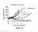 Fig. 07 - Modulation of tumor immunity