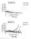 Fig. 08 - Modulation of tumor immunity