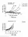 Fig. 09 - Modulation of tumor immunity