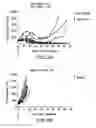 Fig. 11 - Modulation of tumor immunity