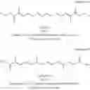 Fig. 08 - Trans carotenoids, their synthesis, formulation and uses