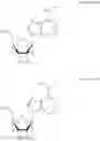 Fig. 101 - Compounds compositions and methods including thermally labile moieties