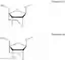 Fig. 17 - Compounds compositions and methods including thermally labile moieties