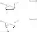 Fig. 22 - Compounds compositions and methods including thermally labile moieties