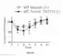 Fig. 11 - USES OF PHOSPHOLIPID CONJUGATES OF SYNTHETIC TLR7 AGONISTS