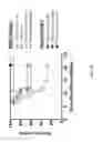 Fig. 23 - USES OF PHOSPHOLIPID CONJUGATES OF SYNTHETIC TLR7 AGONISTS