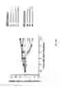 Fig. 24 - USES OF PHOSPHOLIPID CONJUGATES OF SYNTHETIC TLR7 AGONISTS