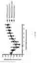 Fig. 28 - USES OF PHOSPHOLIPID CONJUGATES OF SYNTHETIC TLR7 AGONISTS